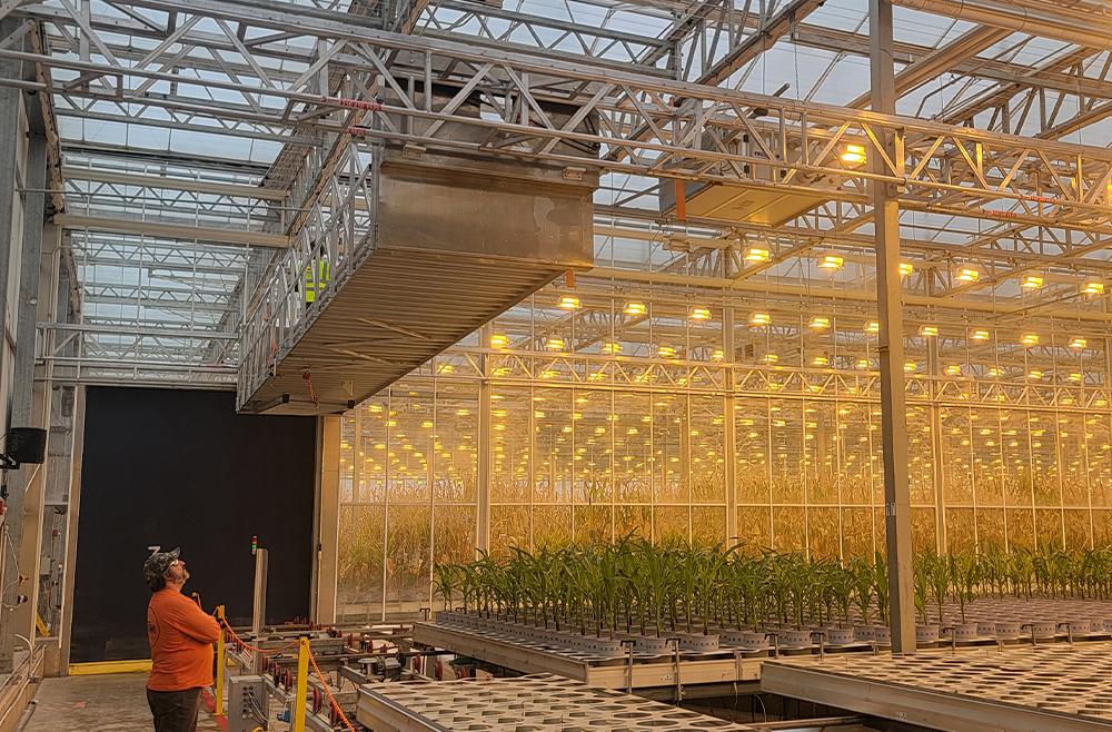 Custom sliding gantry bridge for greenhouse maintenance